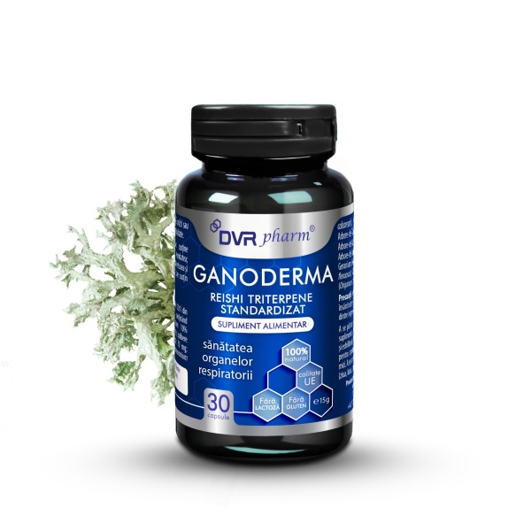 Ganoderma Reishi Triterpene standardizat, 30 capsule, Dvr Pharm