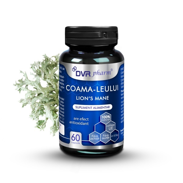 Coama Leului LION’S MANE, 60 Capsule, DVR Pharm