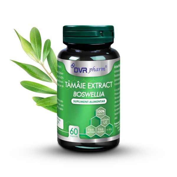 Extract de tamaie (Boswellia), 60 capsule, Dvr Pharm