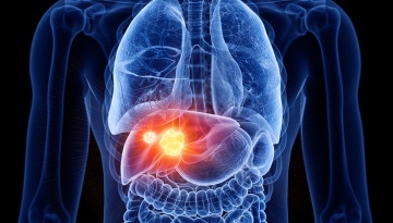 Hepatic Regenerare – Susține Sănătatea Ficatului și Funcția Digestivă, 200 ml ApicolScience - Img 2