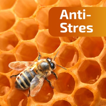 Miere poliflora Anti-Stres, 240 g, Apicolscience - Img 2