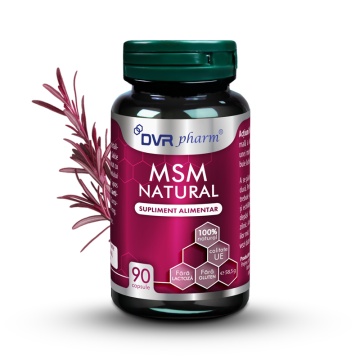 MSM Natural, 90 capsule, DVR Pharm