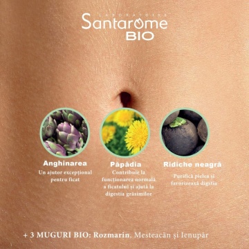 Pachet Hepatonic Bien-etre du foie Bio , 20 fiole x 10 ml, Santarome - Img 3