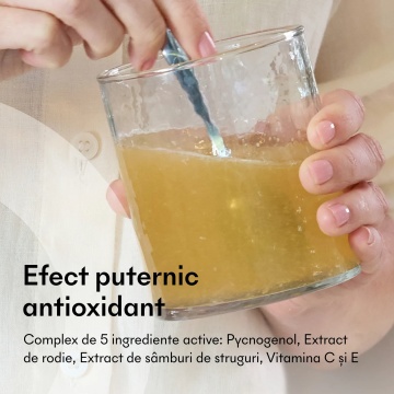 Pycnogenol si Vitamina C 500 mg, 14 plicuri, Ivatherm - Img 3