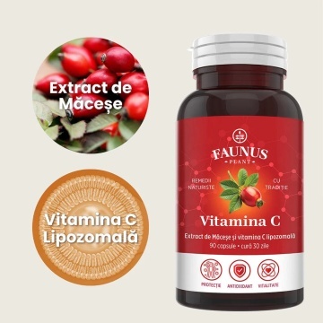 Vitamina C lipozomala cu macese, 90 capsule, Faunus Plant - Img 2