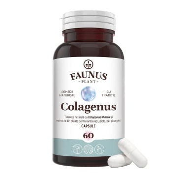 Colagen tip 2 pentru articulatii, oase, piele si par Colagenus, 60 capsule, Faunus Plant - Img 1