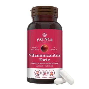 Vitaminizantus Forte multivitamine și minerale, 90 capsule, Faunus Plant
