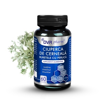 Ciuperca de cerneala "Buretele cu Perucă", 60 capsule, Dvr Pharm - Img 1