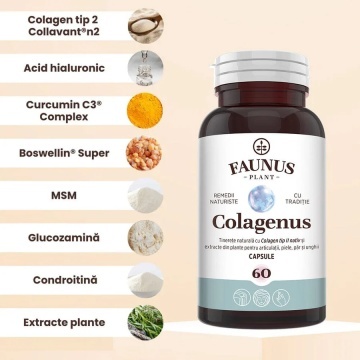 Colagen tip 2 pentru articulatii, oase, piele si par Colagenus, 60 capsule, Faunus Plant - Img 2
