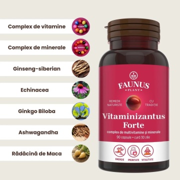 Vitaminizantus Forte multivitamine și minerale, 90 capsule, Faunus Plant - Img 2