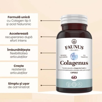 Colagen tip 2 pentru articulatii, oase, piele si par Colagenus, 60 capsule, Faunus Plant - Img 3