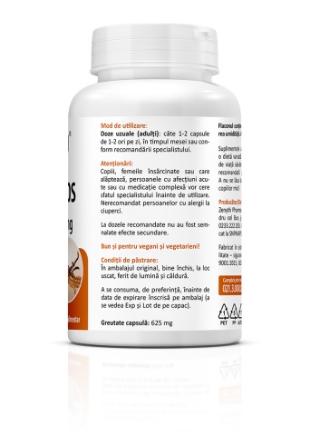 Cordyceps CS-4, 500 mg, 60 capsule, Zenyth - Img 3