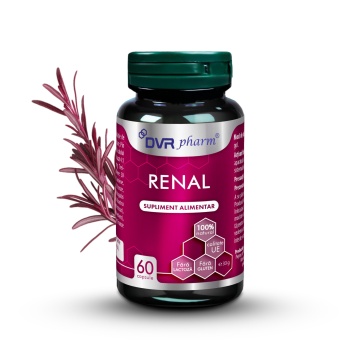 Renal, 60 capsule, Dvr Pharm