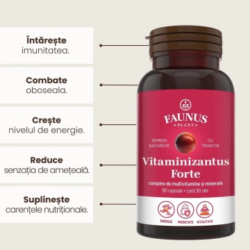 Vitaminizantus Forte multivitamine și minerale, 90 capsule, Faunus Plant - Img 3