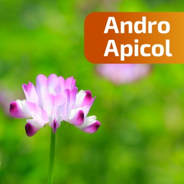 Andro Apicol – Susține Sănătatea Sexuală Masculină și Vitalitatea, 200 ml, ApicolScience - Img 3