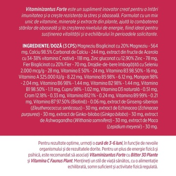 Vitaminizantus Forte multivitamine și minerale, 90 capsule, Faunus Plant - Img 4