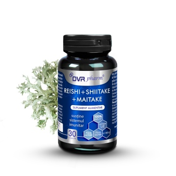 Reishi + Shiitake + Maitake, 30 capsule, Dvr Pharm