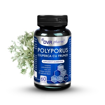 Polyporus Ciuperca cu Frunze, 60 capsule, Dvr Pharm