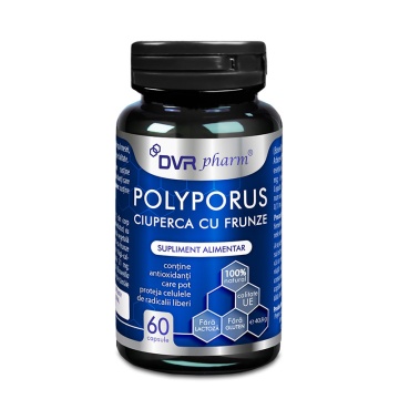 Polyporus Ciuperca cu Frunze, 60 capsule, Dvr Pharm - Img 2