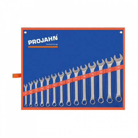Set de chei fixe si inelare combinate PROJAHN metrice 8-22 mm 14 buc/set