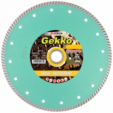 Disc diamantat pt. gresie GEKKO 200