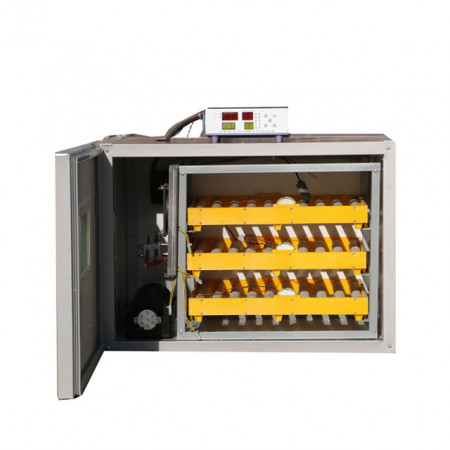 Incubator profesional MS-180 (12V 220V)