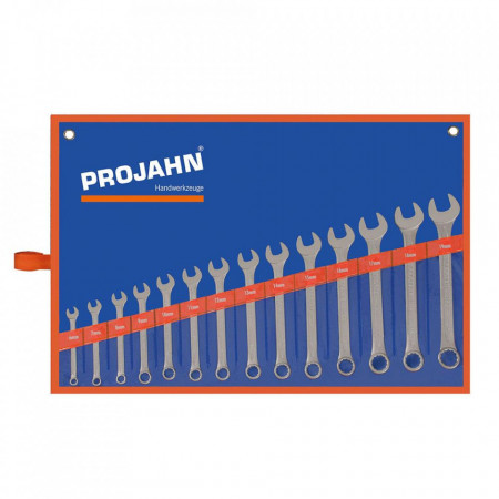 Set de chei fixe si inelare combinate PROJAHN metrice 6-19 mm 14 buc/set