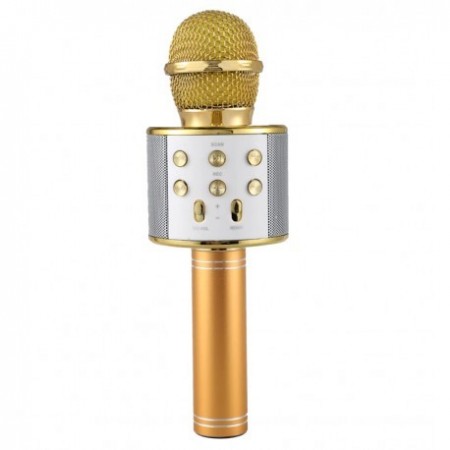 Microfon Karaoke cu difuzor si acumulator