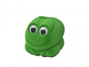 Cutiute bijuterii model BROSCUTA