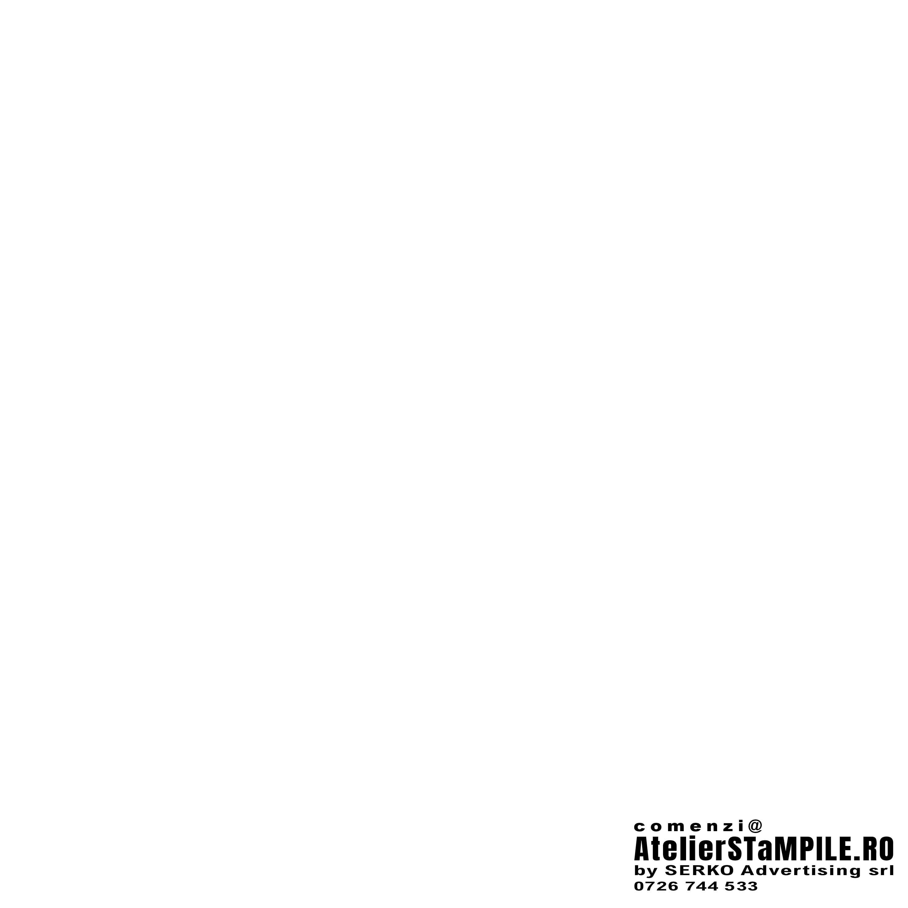 STAMPILE PERSONALZIATE LOGO