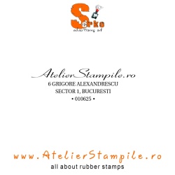 Address Stamps Ribbon - Stampila Adresa Ribbon