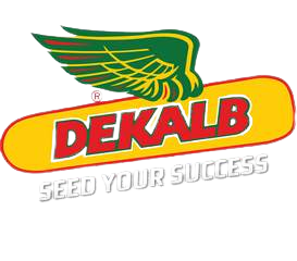 Dekalab
