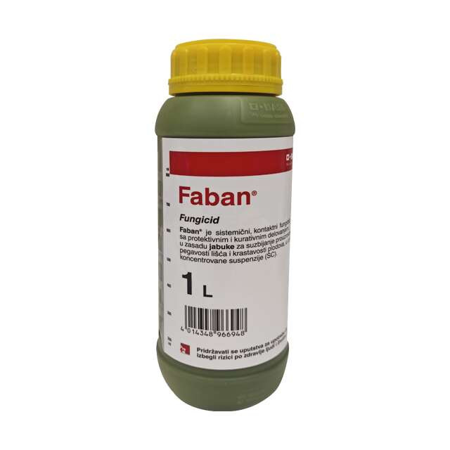 Faban 11