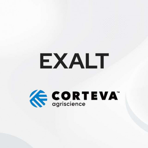 Exalt