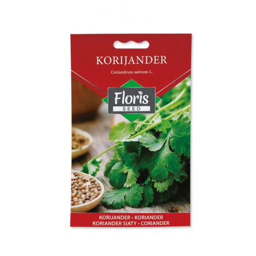 FLORIS-Začinsko bilje Korijander 2g