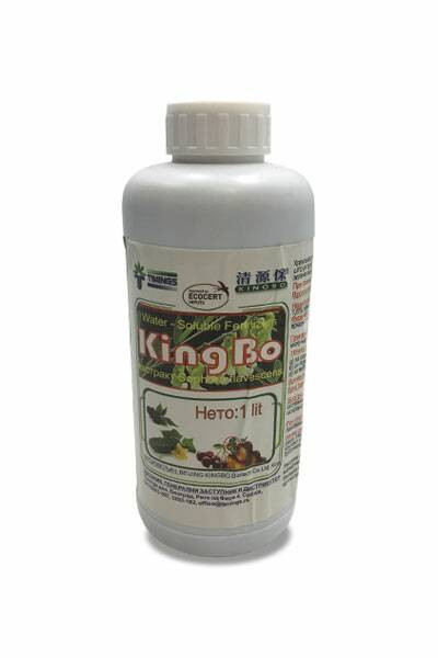 Kingbo AS