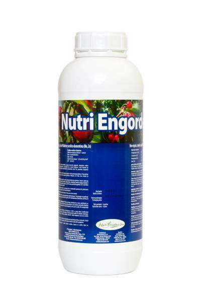Nutri Engorde