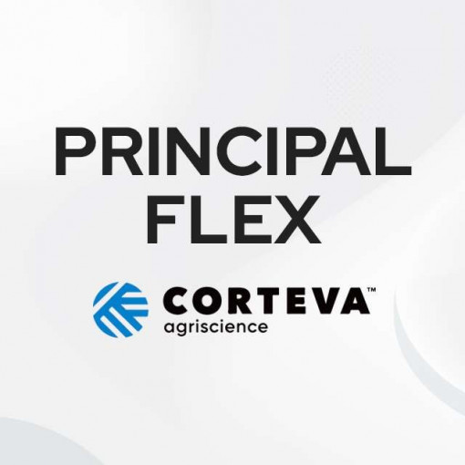 Principal FLEX 480g