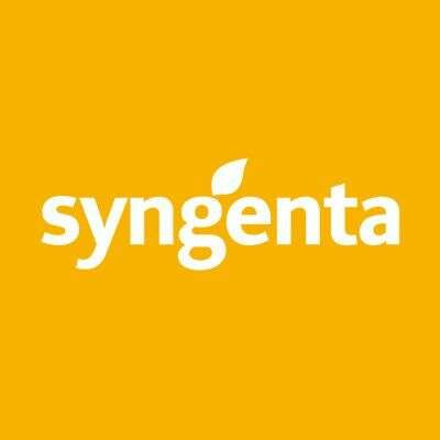 SYNGENTA kukuruz ANDROMEDA (FAO 630) + FORCE