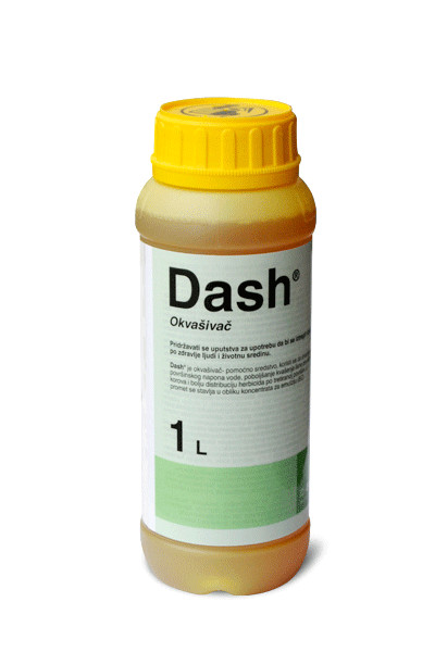 Dash 1/1 +
