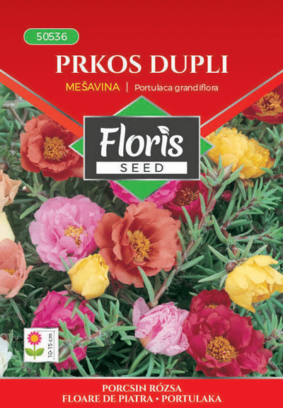 FLORIS Cveće Zimski prkos 0,2g 50245