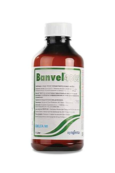 Banvel 480 S 1/1