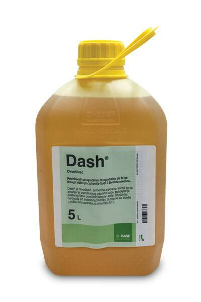 Dash 5/1 +