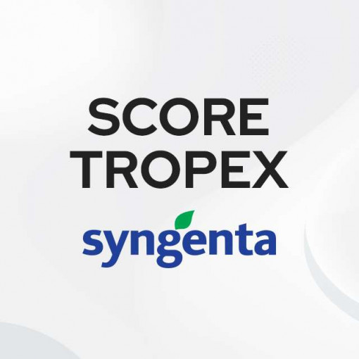 Score Toprex 1/1