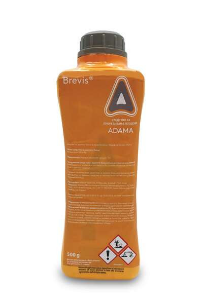 Brevis