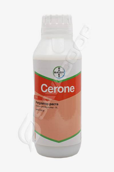 Cerone 480 SL 1/1