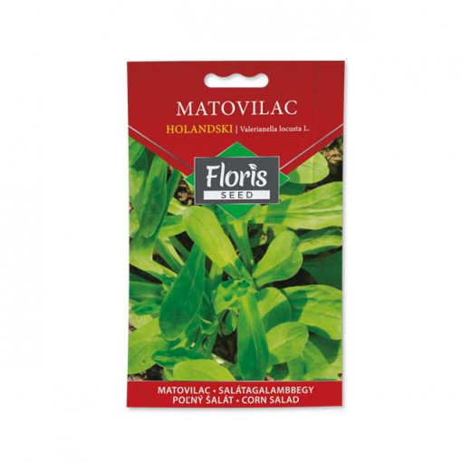 FLORIS-Začinsko bilje-Matovilac Holandski 1g
