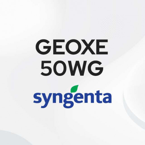 Geoxe 50 WG 5/1