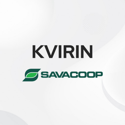 Kvirin