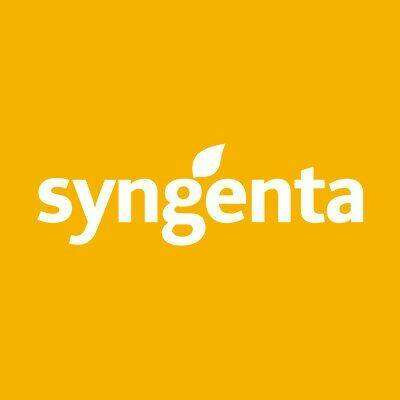 SYNGENTA kukuruz INFINITE (FAO 410) + FORCE